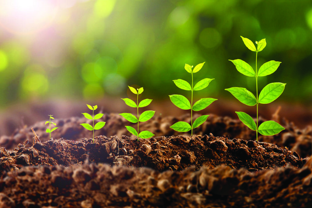 Регуляторы роста