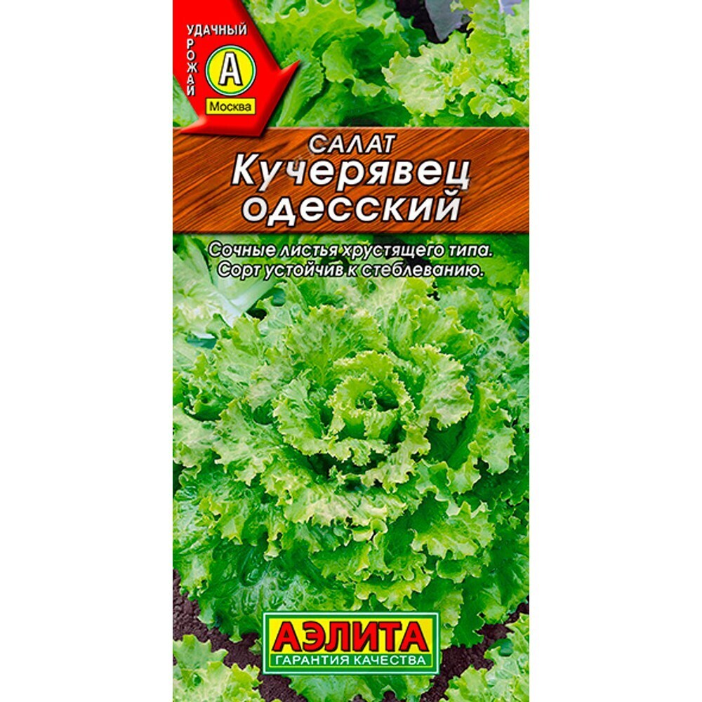 Салат Кучерявец Одесский полукочанный Аэлита 0,5 г - купить в Москве ✓ |  ТехноСтрой