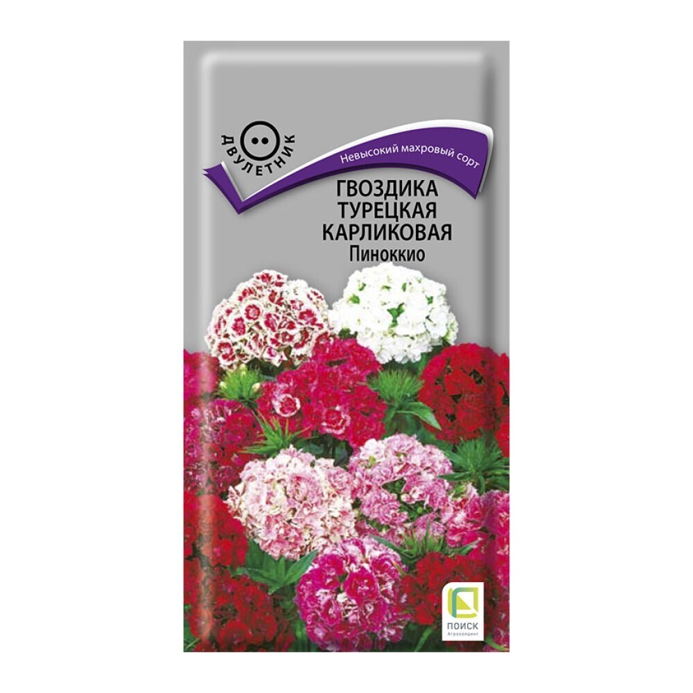 Гвоздика Турецкая карликовая Пиноккио Поиск 0,3 г - купить в Москве ✓ |  ТехноСтрой