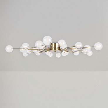 Потолочный светильник Freya FR5242CL-24BS1