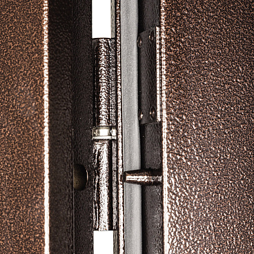 Дверь входная Промет Профи Про левая медный антик - медный антик 960х2050 мм