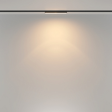 Трековый светильник Technical TR183-1-12WTW-B