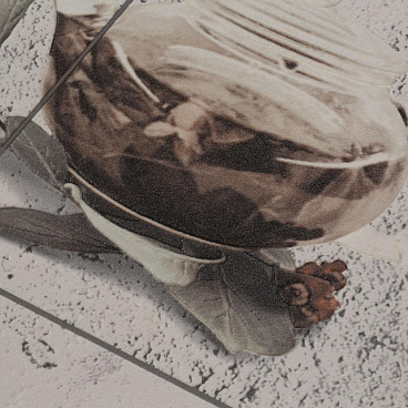 Обои вспененный винил на бумажной основе Elysium Мелисса 904802 (0,53х10,05 м)