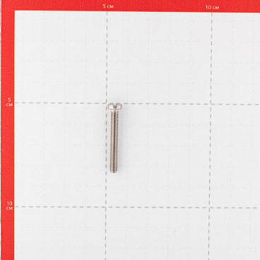 Винт нержавеющая сталь M4x30 мм DIN 84 цилиндрическая головка (6 шт.)