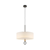 Подвесной светильник Maytoni MOD437PL-05B