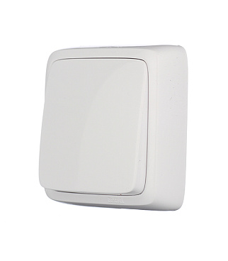 Переключатель Hegel Alfa одноклавишный накладной белый (ВА10-163)