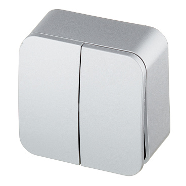 Выключатель Systeme Electric Blanca двухклавишный накладной алюминий (BLNVA105013)