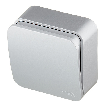 Выключатель Systeme Electric Blanca одноклавишный накладной алюминий с самовозвратом (BLNCA101013)