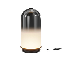 Настольный светильник Maytoni MOD488TL-L8B3K