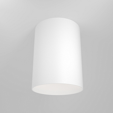 Потолочный светильник Technical C014CL-01W