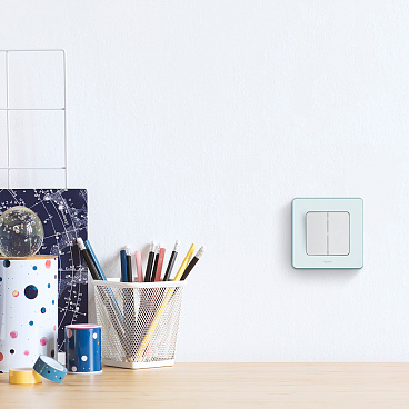 Выключатель Legrand Inspiria двухклавишный встраиваемый белый (673620)