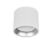 Светильник накладной IN HOME НПБ GX53 24 Вт белый IP20 (4690612046563)