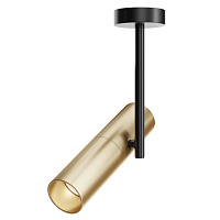 Потолочный светильник Technical C020CL-01GB