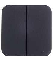 Выключатель Systeme Electric Blanca двухклавишный накладной антрацит (BLNVA105016)