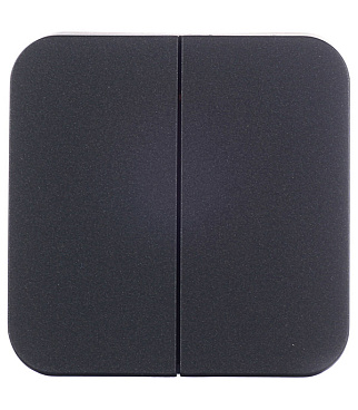 Выключатель Systeme Electric Blanca двухклавишный накладной антрацит (BLNVA105016)