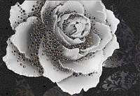 Монро 5Т Декор тип 1 27,5х40