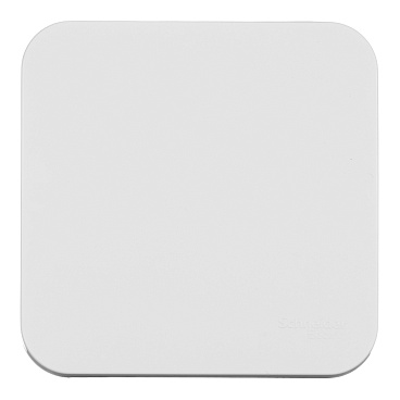 Выключатель Systeme Electric Blanca одноклавишный накладной белый с самовозвратом (BLNCA101011)