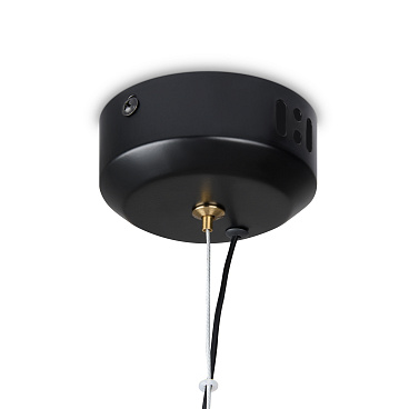 Подвесной светильник Freya FR5384PL-L5BL