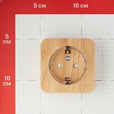 Розетка Systeme Electric Blanca накладная ясень со шторками компакт (BLNRA111115)