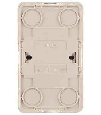 Розетка Systeme Electric Этюд накладная сосна (PA16-005D)