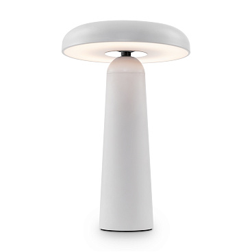 Аккумуляторный светильник Freya FR6109TL-L4W
