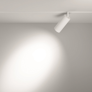 Трековый светильник Technical TR032-2-20W3K-S-W