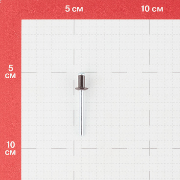 Заклепка вытяжная 4,8x8 мм алюминий/сталь коричневая RAL 8017 (100 шт.)