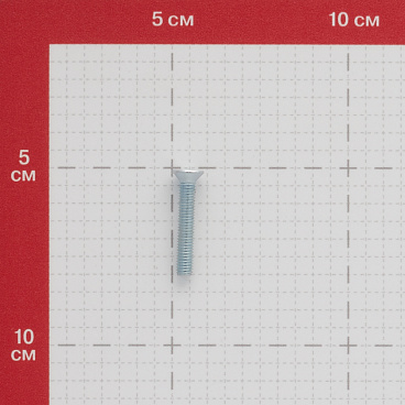 Винт оцинкованный M5x30 мм DIN 965 потайная головка (10 шт.)