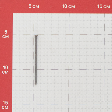 Гвозди строительные 3,0x70 мм (1 кг)