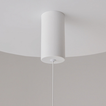 Подвесной светильник Maytoni P022PL-L10W