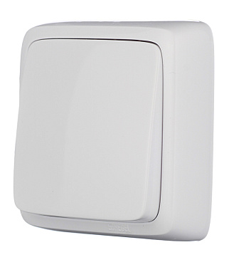 Выключатель Hegel Alfa одноклавишный накладной белый (ВА10-113)
