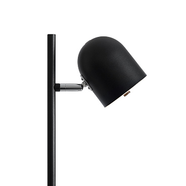 Напольный светильник (торшер) Freya FR5279FL-L7B