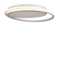Потолочный светильник Freya FR10032CL-L98W