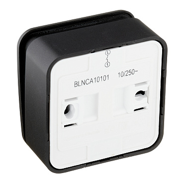 Выключатель Systeme Electric Blanca одноклавишный накладной антрацит с самовозвратом (BLNCA101016)