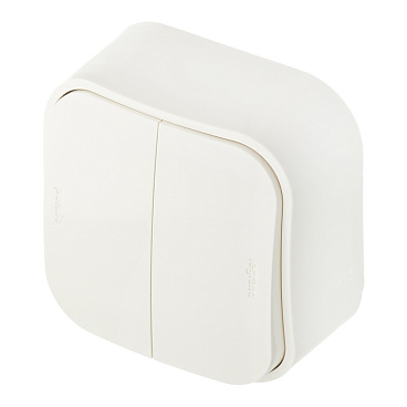 Переключатель Legrand Quteo двухклавишный накладной слоновая кость (782236)