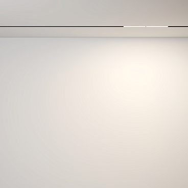 Трековый светильник Technical TR106-2-12W3K-B