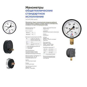 Манометр Росма радиальный 1/2 НР(ш) 16 бар d100 мм (6833)