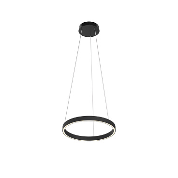 Подвесной светильник Maytoni MOD058PL-L22BK