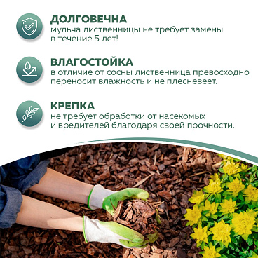 Кора Rainberg лиственницы фракция 60-100 мм 60 л