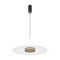 Подвесной светильник Maytoni MOD041PL-L15W3K1