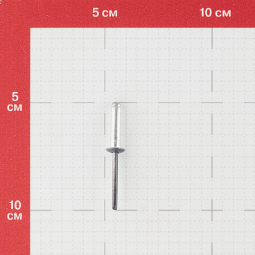 Заклепка вытяжная 4,8x18 мм алюминий/сталь серая RAL 7024 (100 шт.)