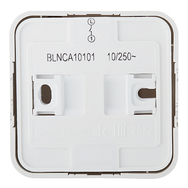 Выключатель Systeme Electric Blanca одноклавишный накладной алюминий с самовозвратом (BLNCA101013)