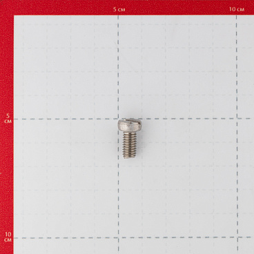 Винт нержавеющая сталь M6x12 мм DIN 84 цилиндрическая головка (4 шт.)