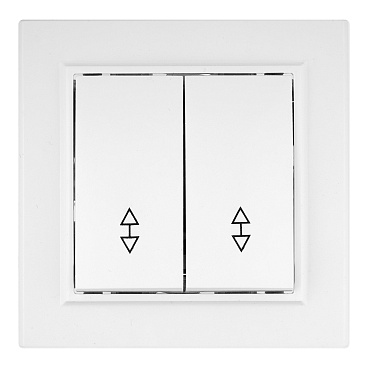 Переключатель EKF Минск двухклавишный встраиваемый белый (ERV10-027-10)