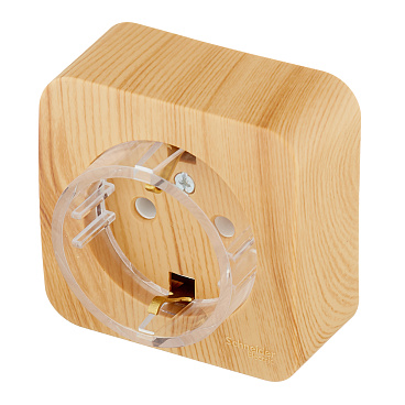 Розетка Systeme Electric Blanca накладная ясень компакт (BLNRA110115)