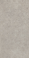 Риккарди Керамогранит серый светлый матовый обрезной SG519920R 60х119,5