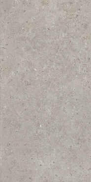 Риккарди Керамогранит серый светлый матовый обрезной SG519920R 60х119,5