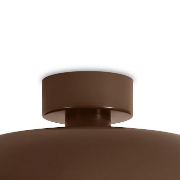 Потолочный светильник Freya FR5602CL-L10BR