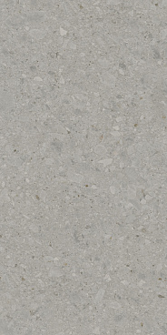 Чеппо ди Гре Керамогранит серый матовый обрезной DD507820R 60x119,5
