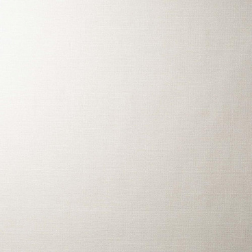 Обои компакт-винил на флизелиновой основе Renowa Absolute 287686 (1,06х10,05 м)